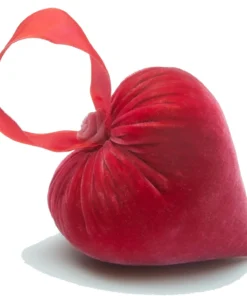 Medium Guava Ribbon Heart